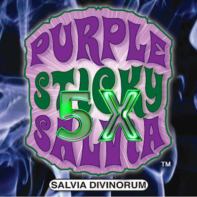 Salvia Divinorum Enhanced 5x Leaf