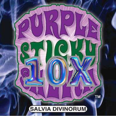 Salvia Divinorum Enhanced 10x Leaf