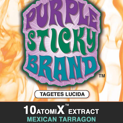 Mexican Tarragon 10x