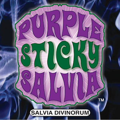 Purple Sticky Salvia™ Divinorum Organic Leaf